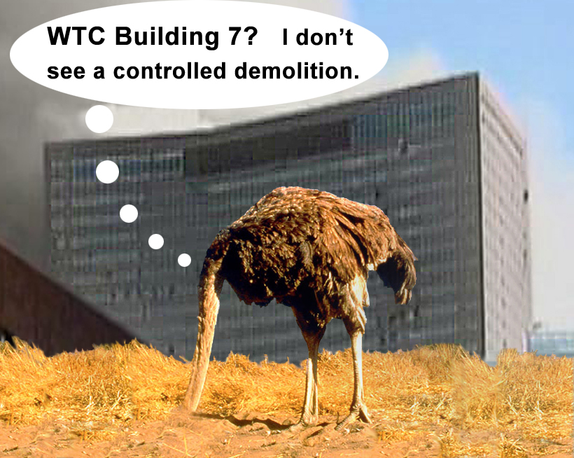 wtc7ostrich